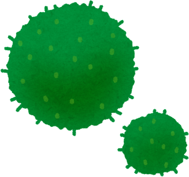 Watercolor Illustration of Marimo Moss Balls